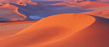 佛罗伦萨球队换帅后士气大振