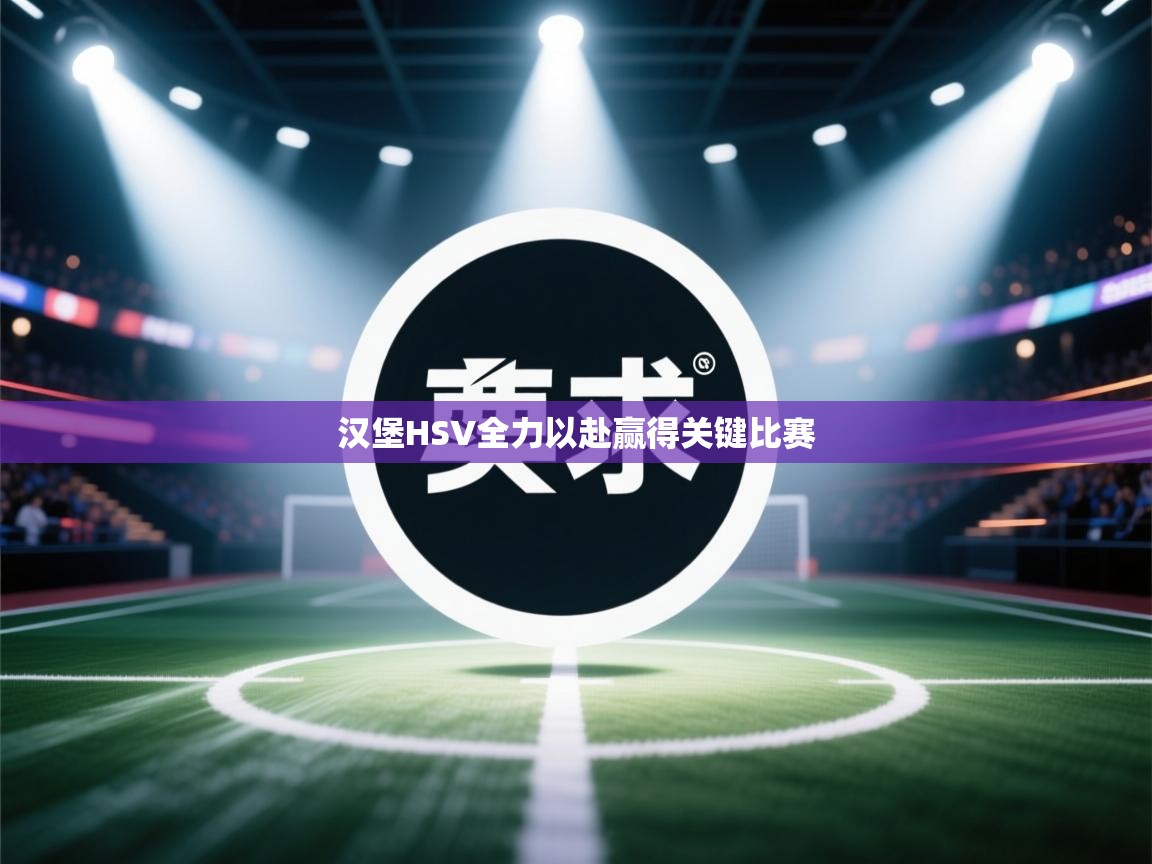 汉堡HSV全力以赴赢得关键比赛